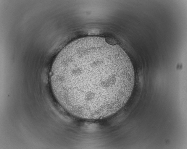 X0000113080311200909111009