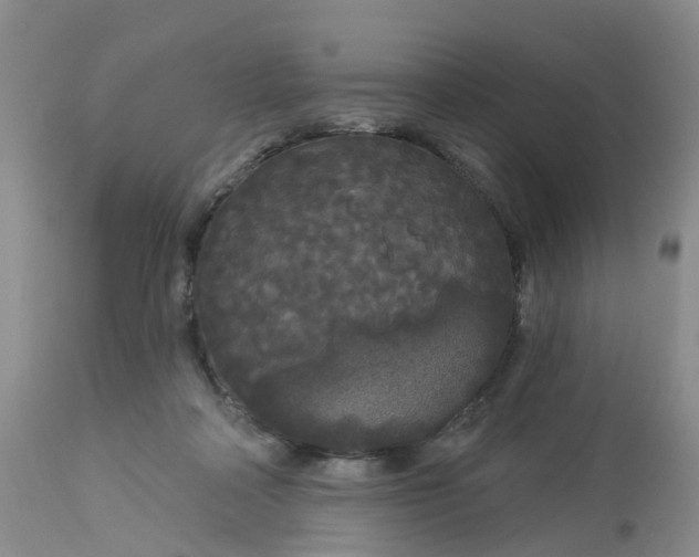 X0000113080314200909111009