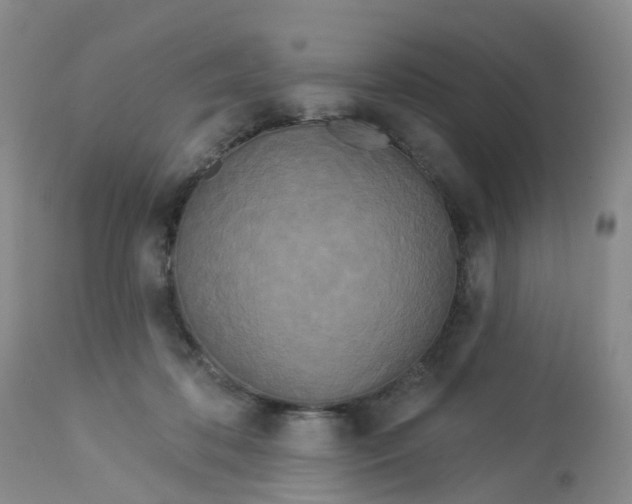 X0000113080316200909111009