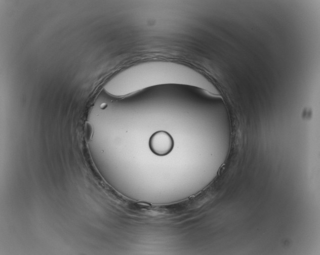 X0000113080317200909111009