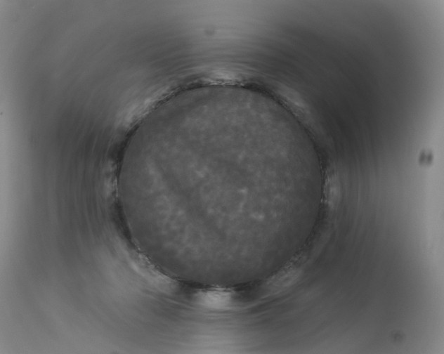 X0000113080318200909111009