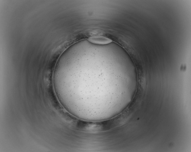 X0000113080319200909111009