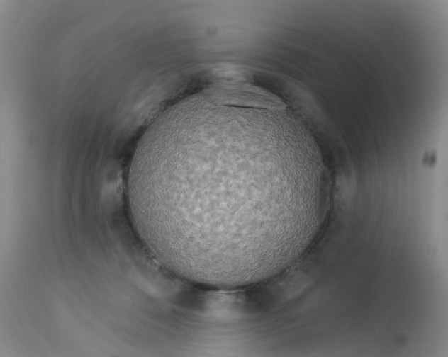 X0000113080320200909111009