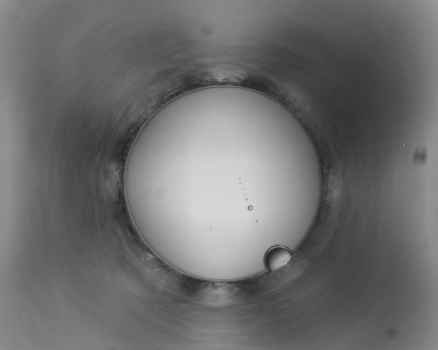 X0000113080321200909111009