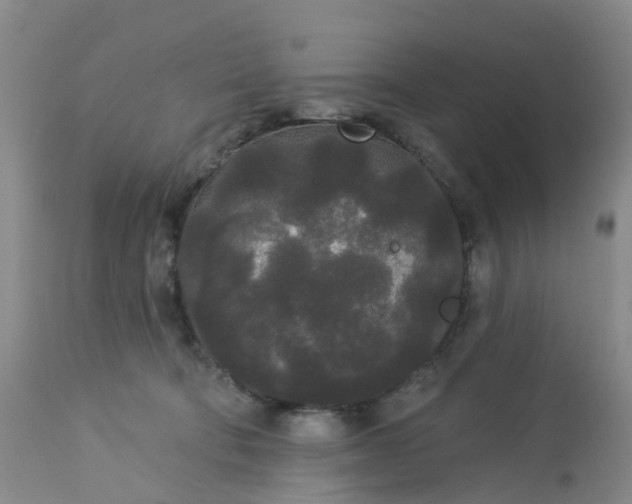 X0000113080322200909111009