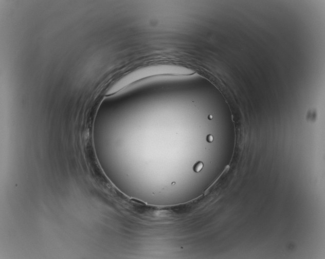 X0000113080324200909111009