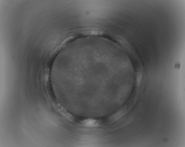 X0000113080326200909111009