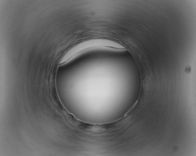 X0000113080327200909111009