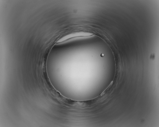 X0000113080328200909111009