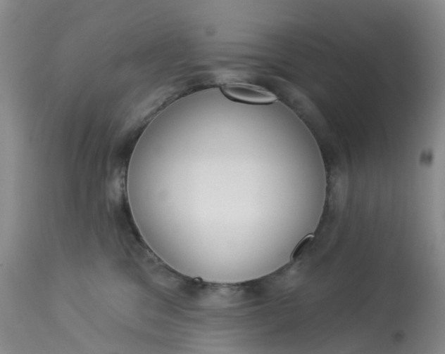 X0000113080329200909111009