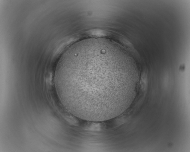 X0000113080330200909111009