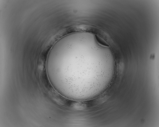 X0000113080331200909111009