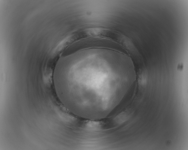 X0000113080332200909111009