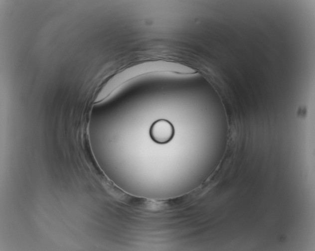 X0000113080333200909111009