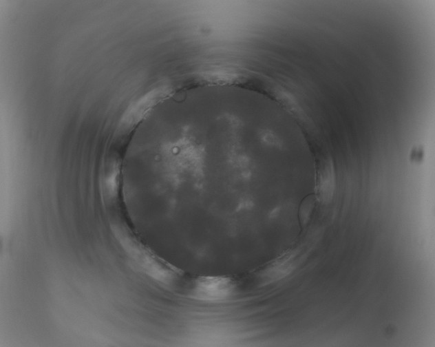 X0000113080334200909111009