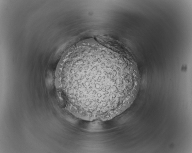 X0000113080335200909111009