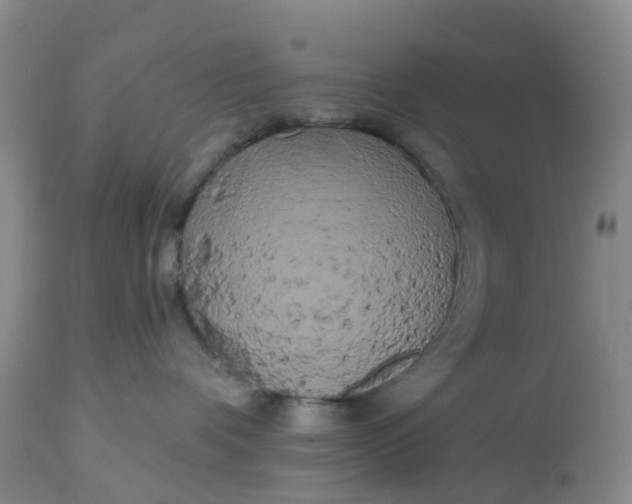 X0000113080336200909111009