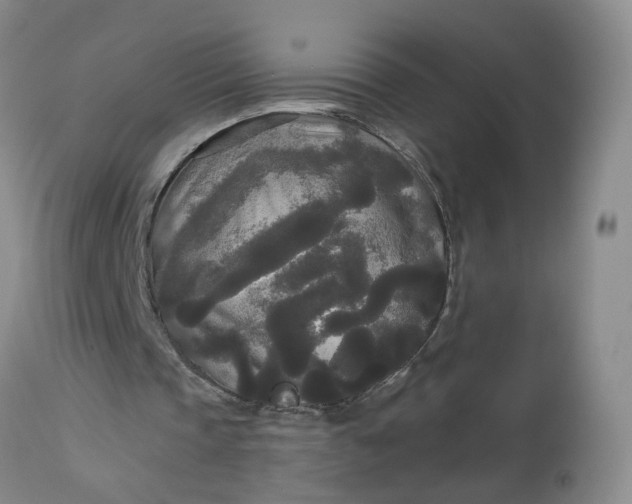 X0000113080337200909111008