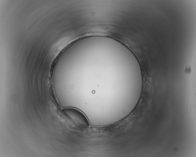 X0000113080338200909111008