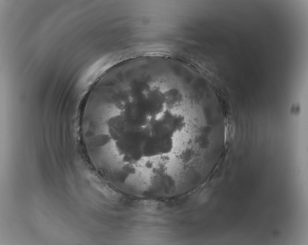 X0000113080339200909111008