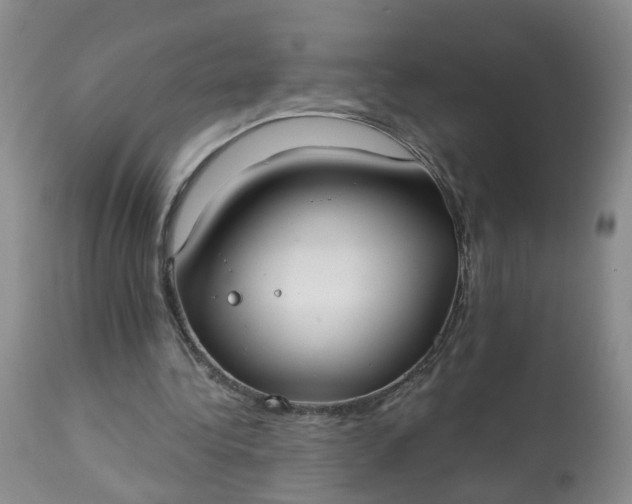 X0000113080340200909111008