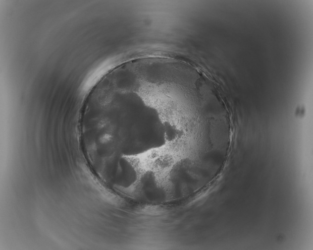 X0000113080341200909111008