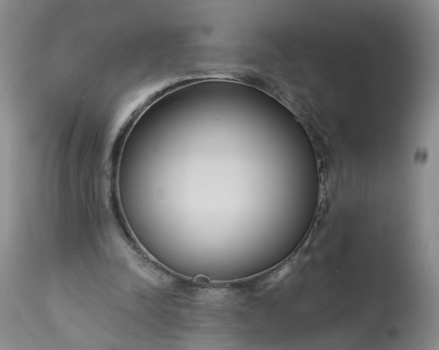 X0000113080342200909111008