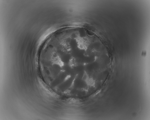 X0000113080343200909111008