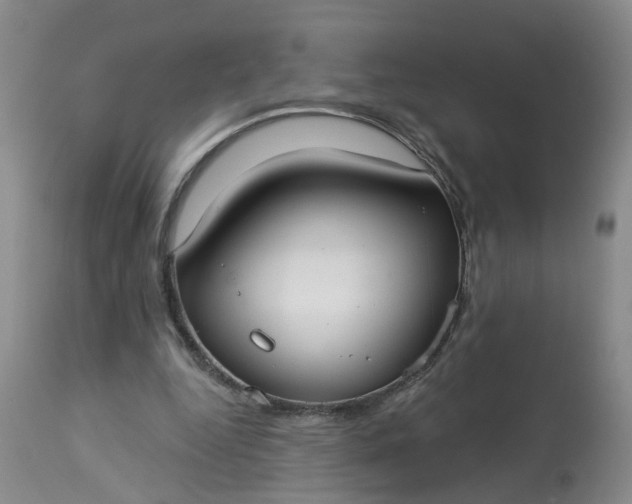 X0000113080344200909111008