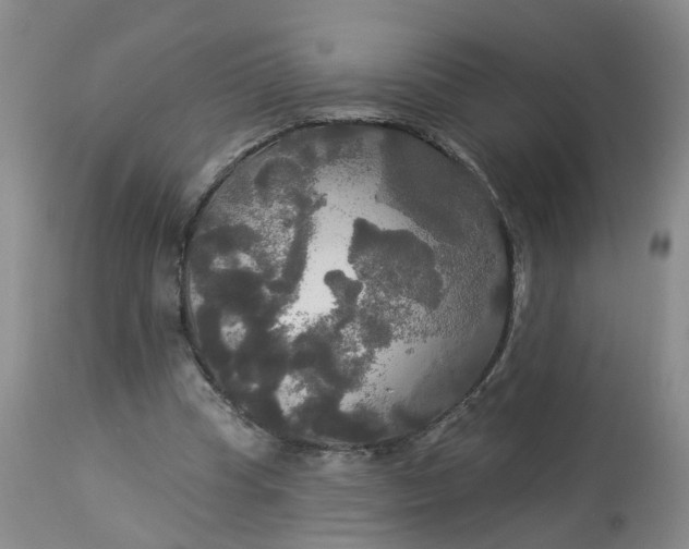 X0000113080345200909111008