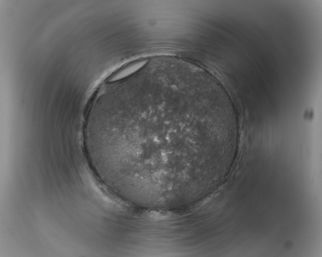 X0000113080346200909111008