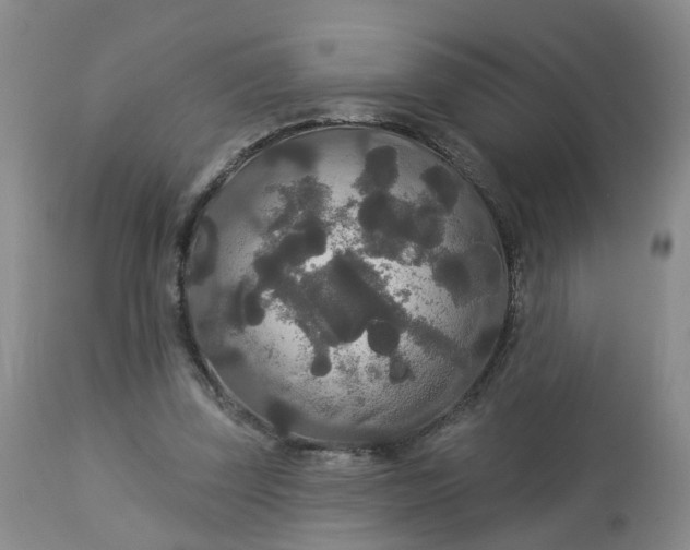 X0000113080347200909111008