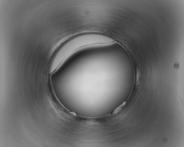 X0000113080348200909111008