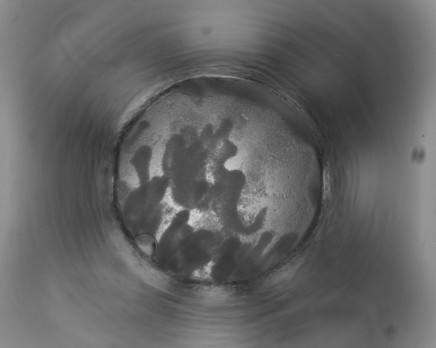 X0000113080349200909111008