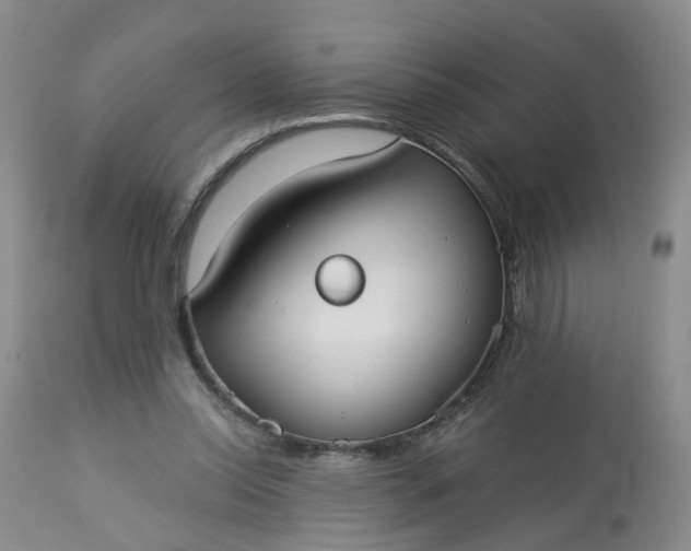 X0000113080350200909111008