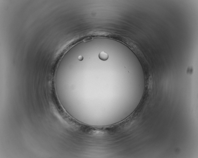 X0000113080352200909111008