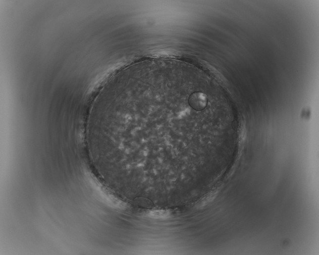 X0000113080353200909111008