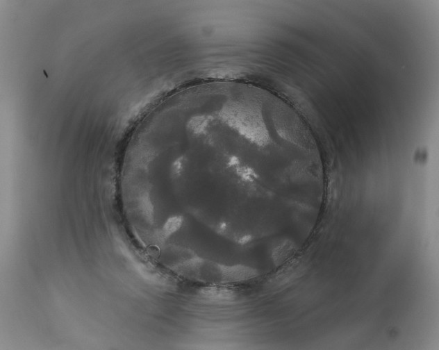 X0000113080354200909111009