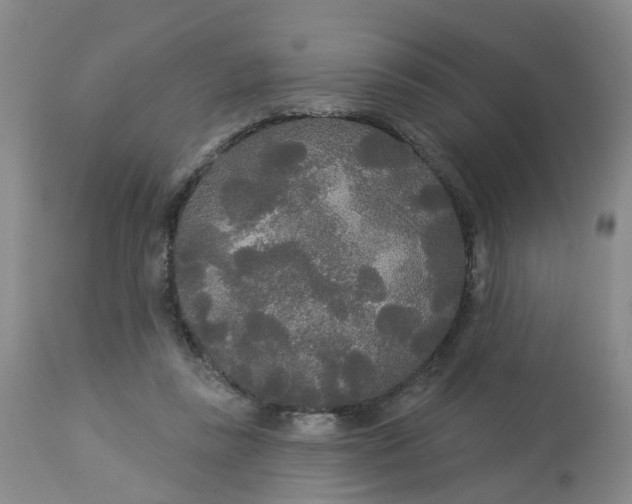 X0000113080355200909111009