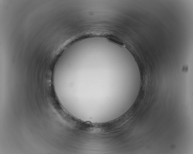 X0000113080356200909111009