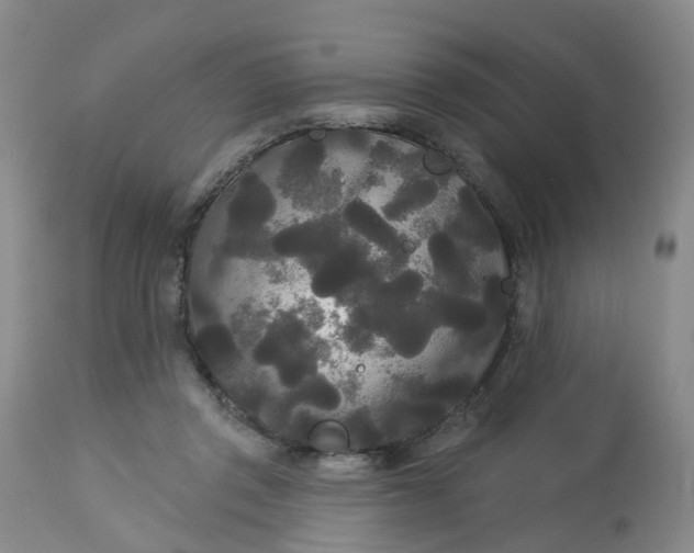 X0000113080357200909111009