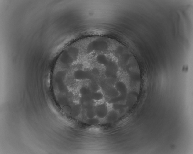 X0000113080358200909111009