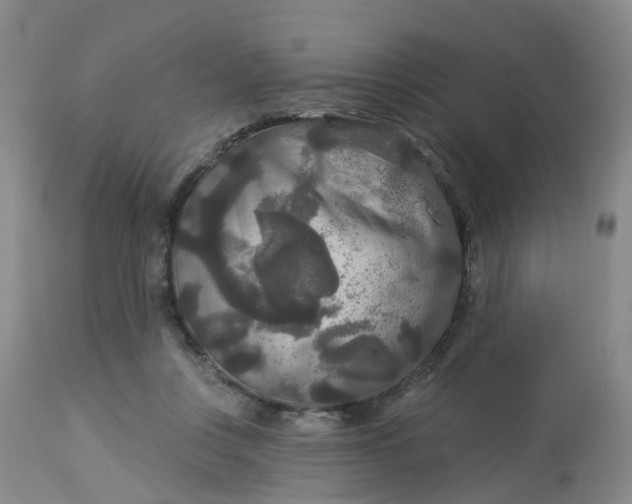 X0000113080359200909111009