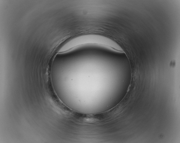 X0000113080360200909111009