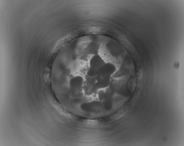 X0000113080361200909111009