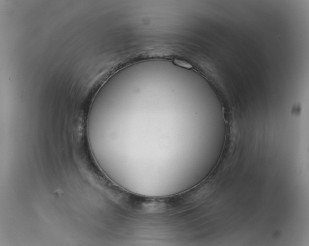 X0000113080362200909111009