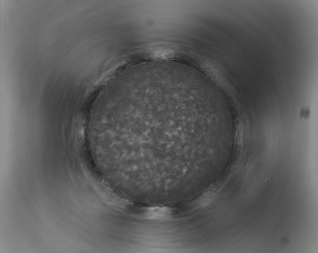 X0000113080363200909111009