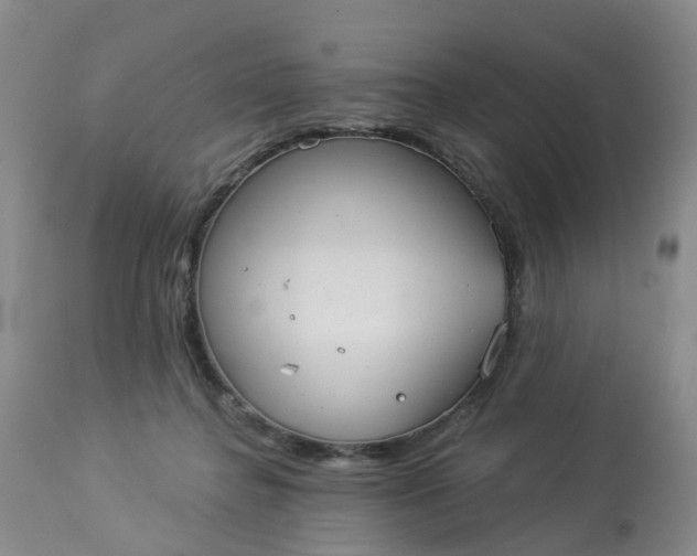 X0000113080364200909111009