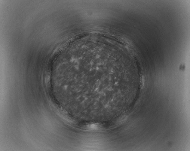 X0000113080365200909111009