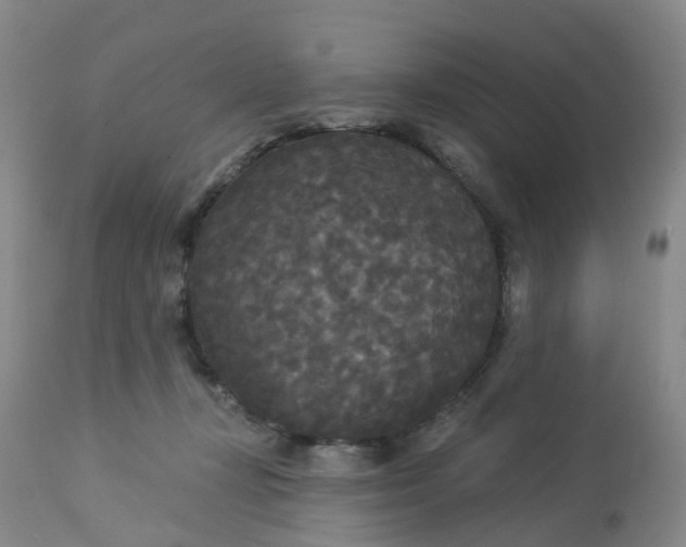 X0000113080367200909111009